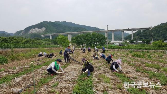 기사 사진