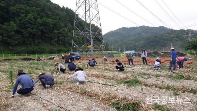 기사 사진