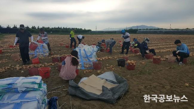 기사 사진