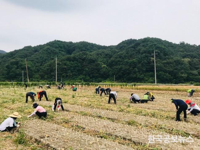 기사 사진
