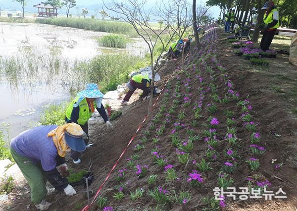 기사 사진