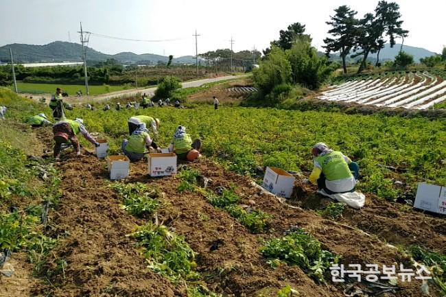 기사 사진