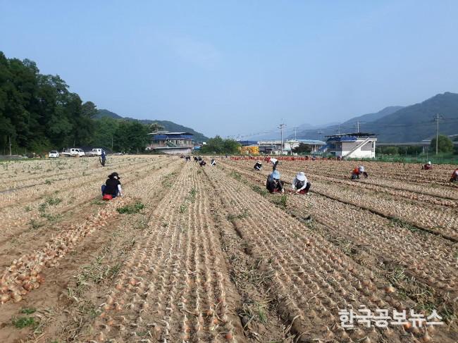 기사 사진