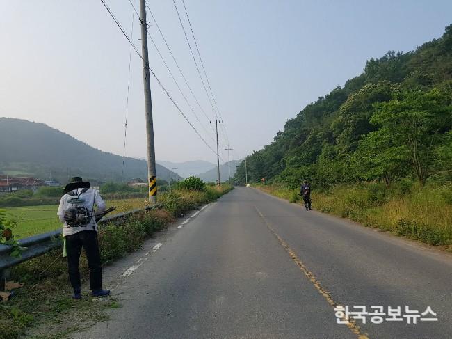 기사 사진