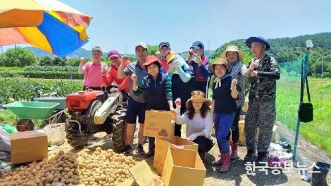 기사 사진