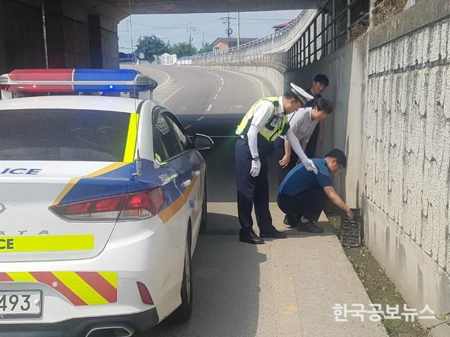 기사 사진