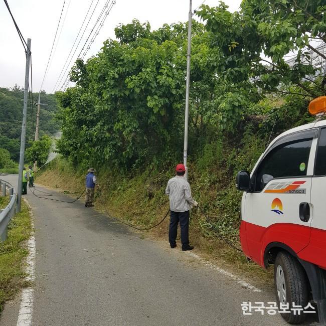 기사 사진