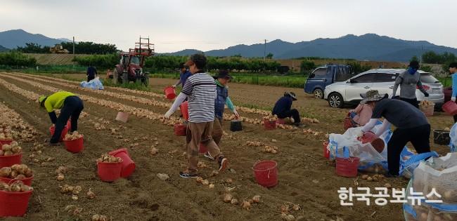 기사 사진