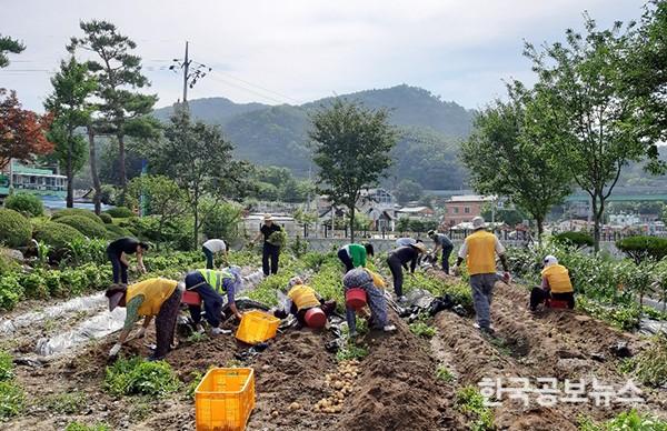 기사 사진