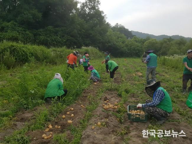 기사 사진