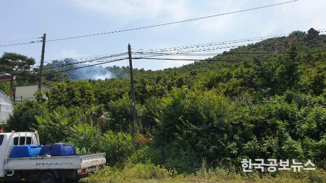기사 사진