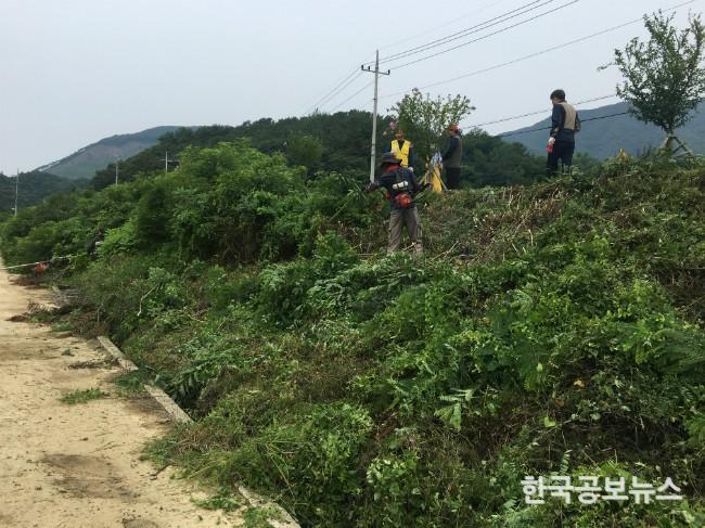 기사 사진