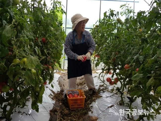 기사 사진