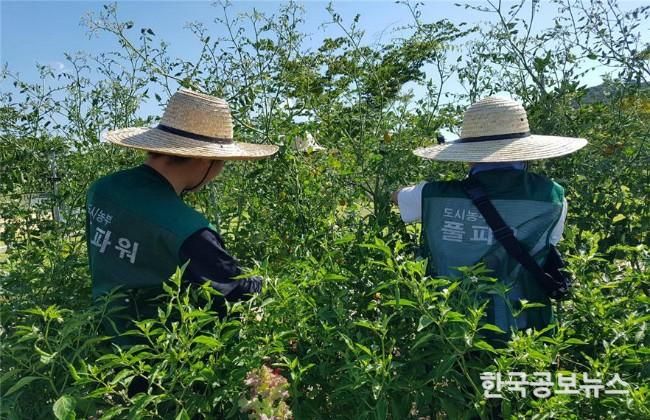 기사 사진