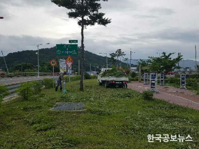 기사 사진