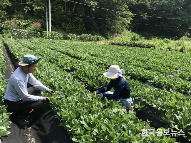 기사 사진