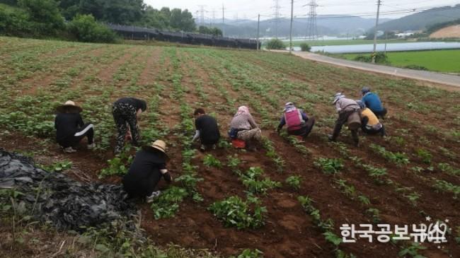 기사 사진