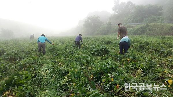 기사 사진