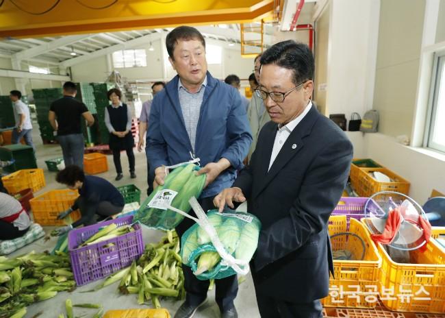 기사 사진