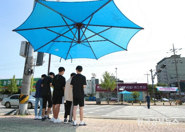 기사 사진