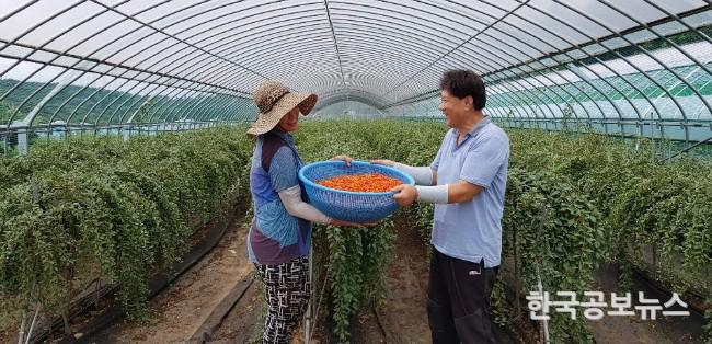 기사 사진