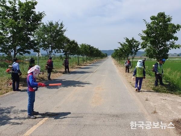 기사 사진