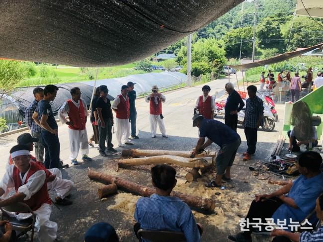 기사 사진