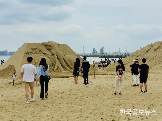 기사 사진