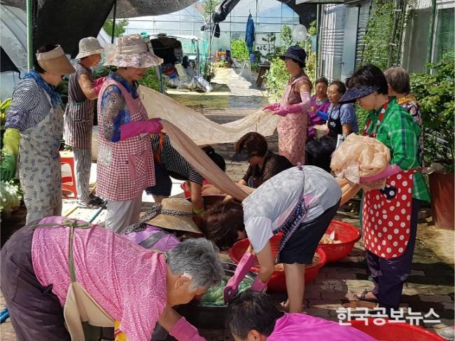 기사 사진