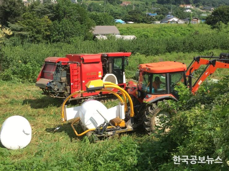 기사 사진