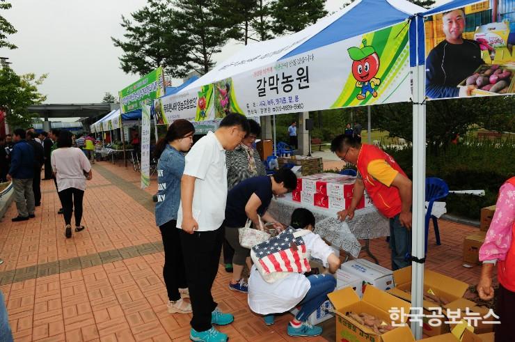 기사 사진