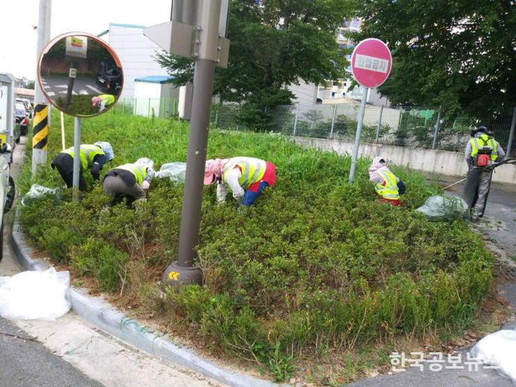 기사 사진