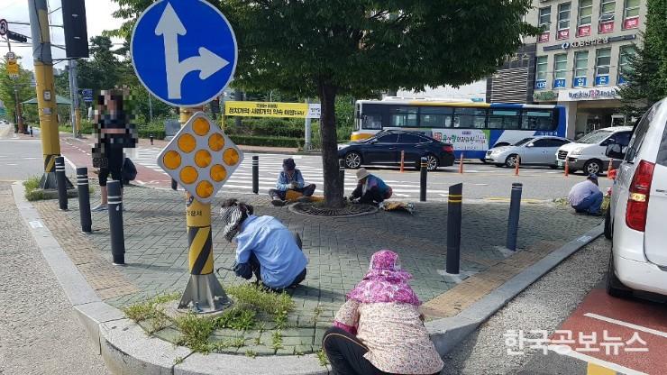 기사 사진