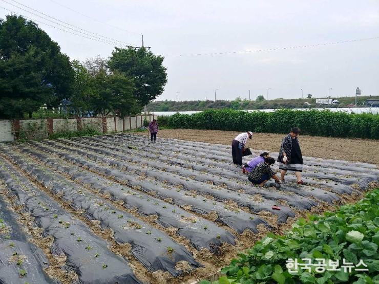 기사 사진