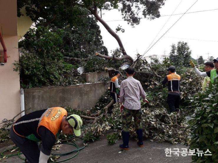 기사 사진