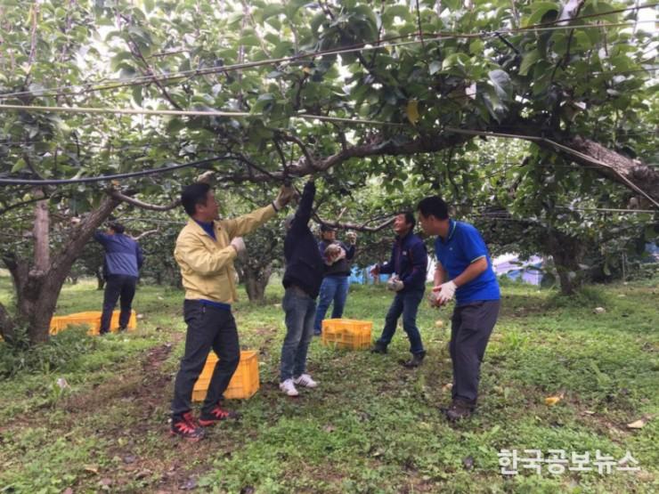 기사 사진