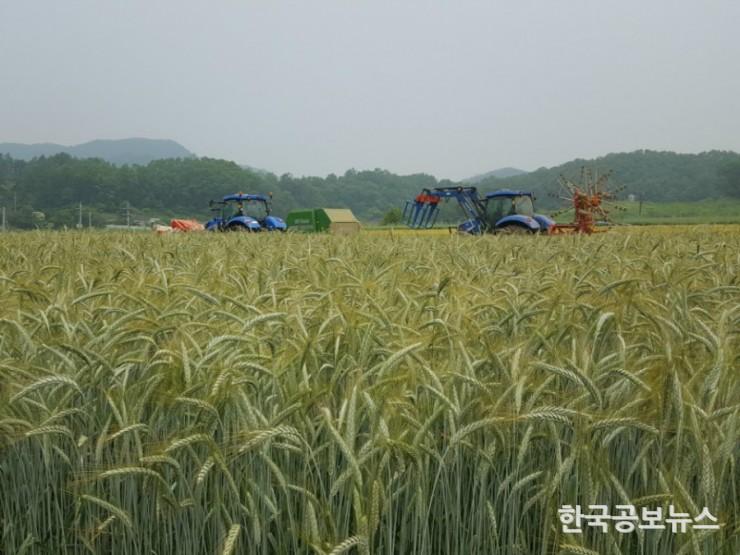 기사 사진