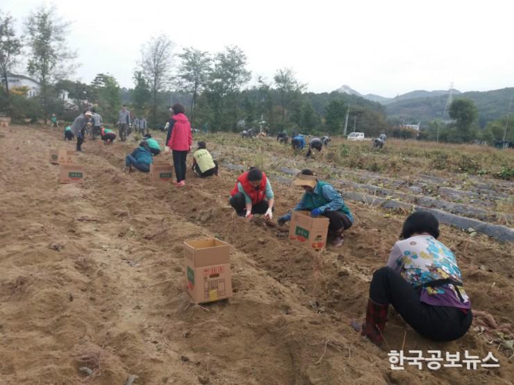 기사 사진