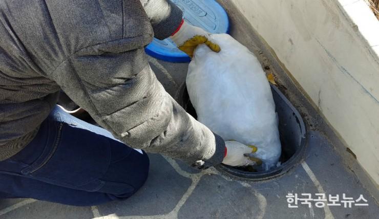 기사 사진