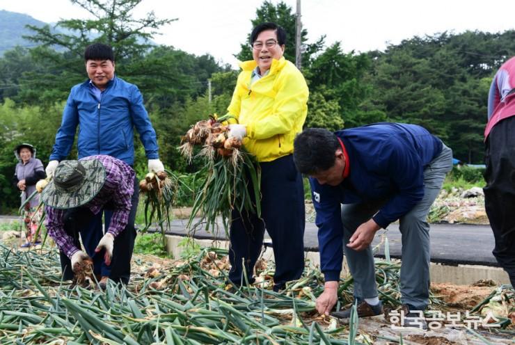 기사 사진