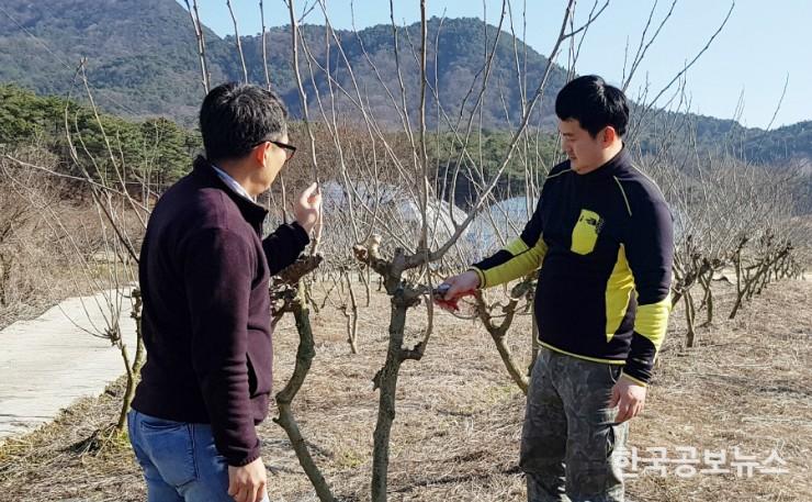 기사 사진