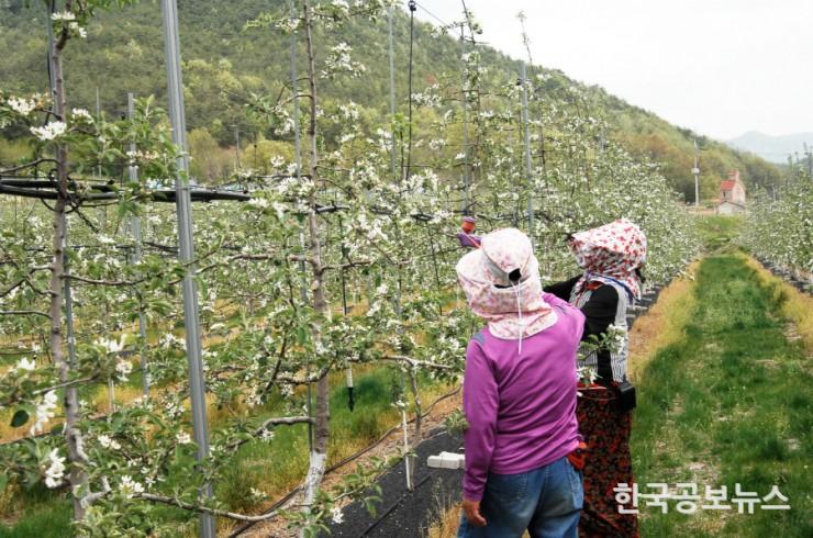 기사 사진