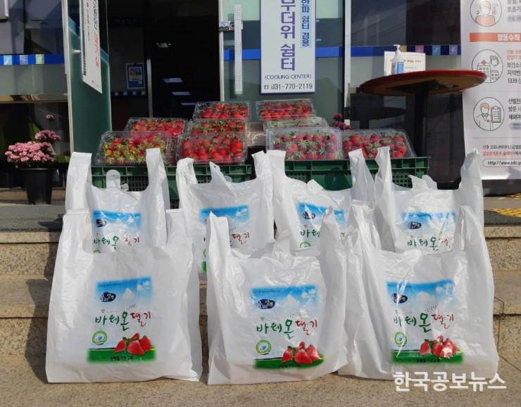 기사 사진