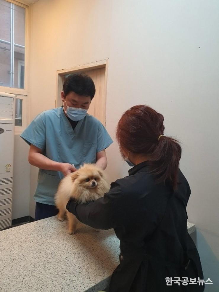 기사 사진
