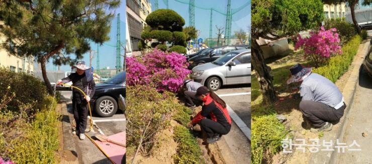 기사 사진