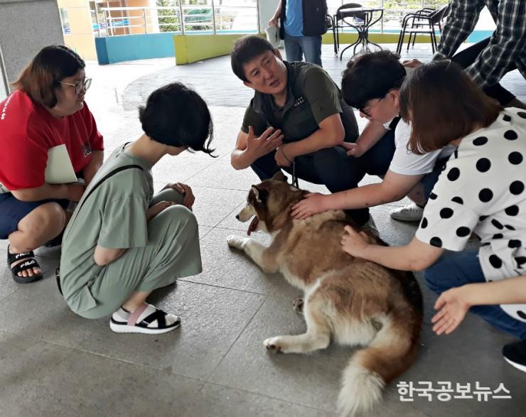 기사 사진