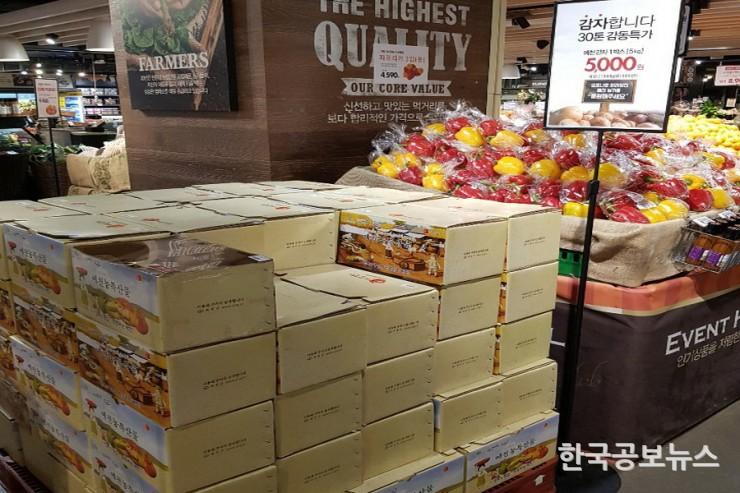 기사 사진