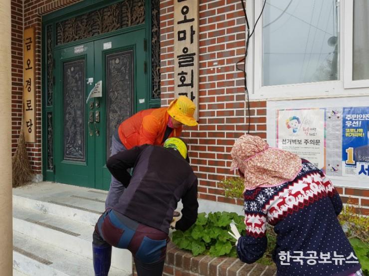 기사 사진