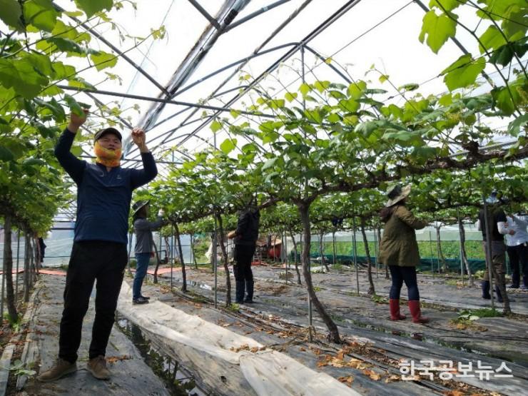 기사 사진