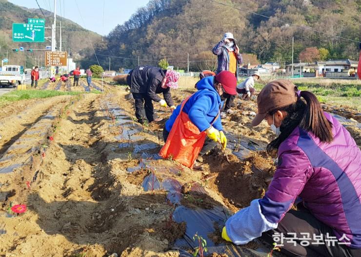 기사 사진